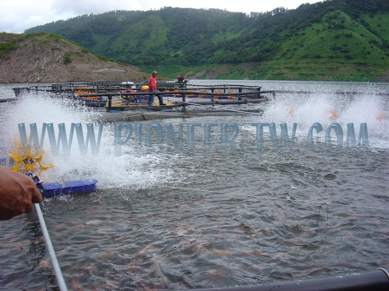 les caractéristiques de l'aérateur à roues à aubes multi-turbines de type shore