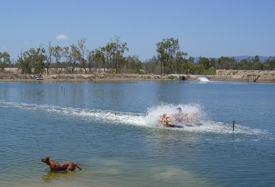los aireadores de paletas se recomiendan para la aireación en el sistema biofloc.