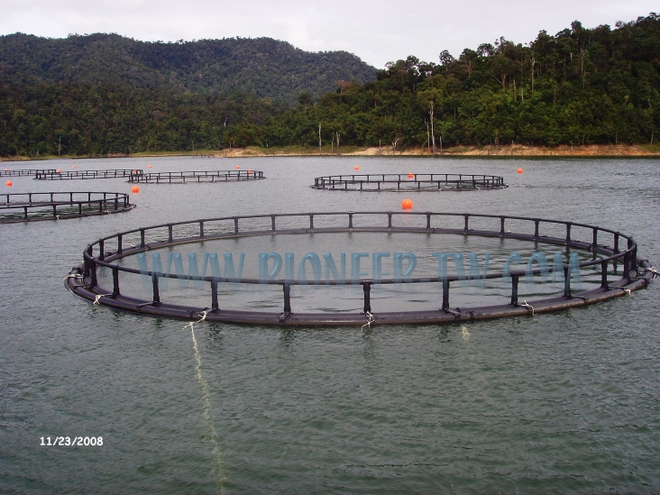 le dernier rapport montre que le marché des produits aquacoles va croître...