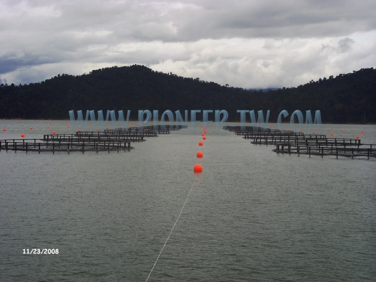 dernier rapport de la fao l'aquaculture continue d'augmenter en chine premier producteur